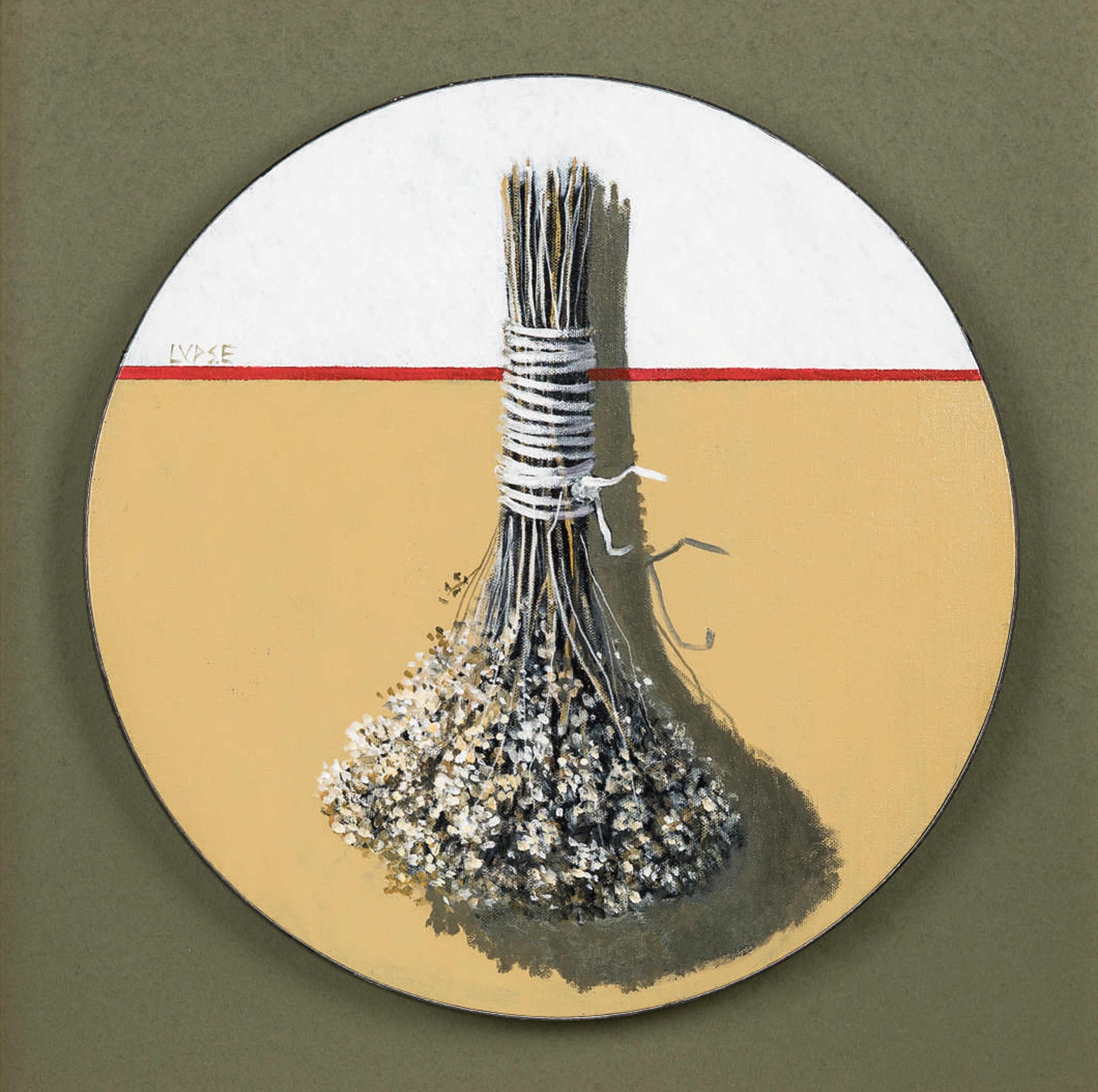 marcel-lupse-ierburi-de-leac