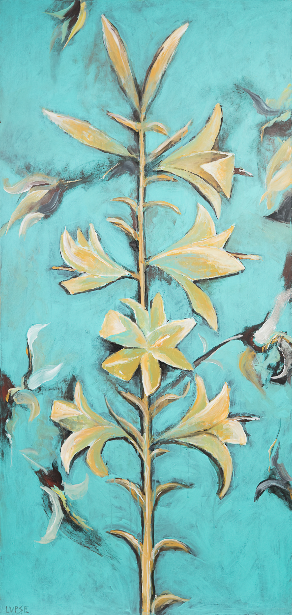 5.%20FLOAREA%20REGELUI