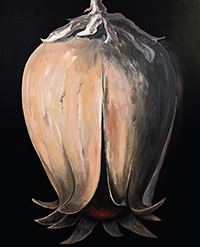 latest-collection-gratia-viva-03