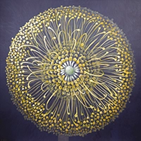 win-gallery%3Abanner%3Alatest-collection-gratia-viva-04