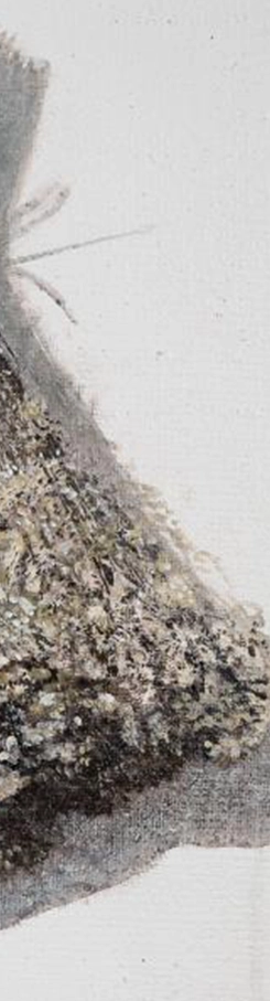 florile-somnului-marcel-lupse