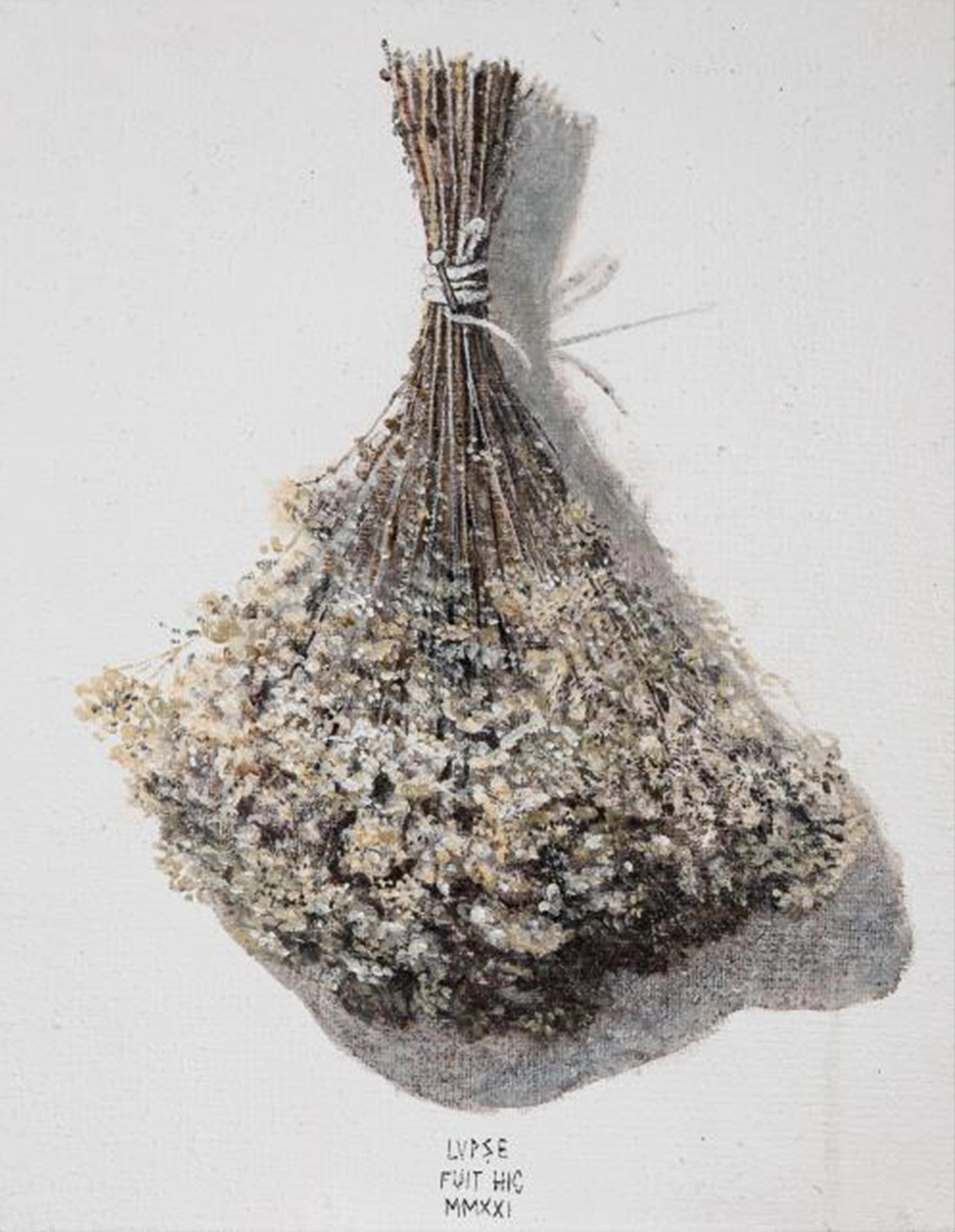 marcel-lupse-florile-somnului