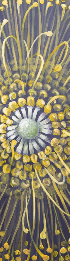 marcel-lupse-inflorescenta-win-gallery