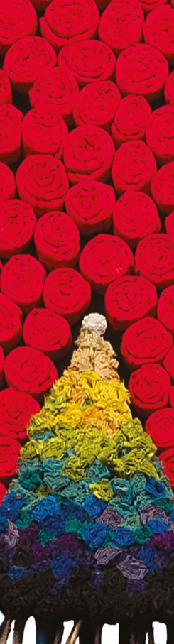 pomul-vietii-marijana-bitulescu