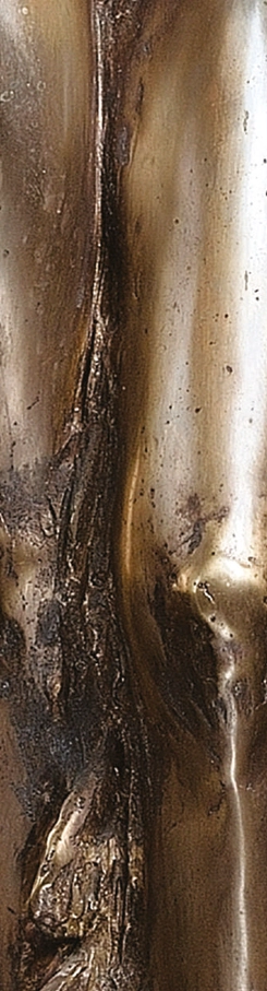 adolescenta-cristian-ioan-pentelescu