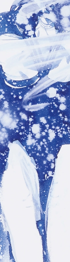 nud-3-lisandru-neamtu