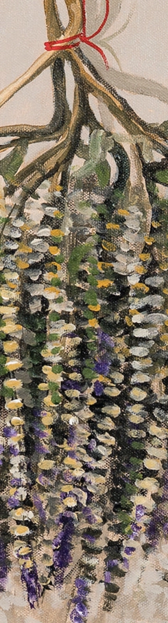 busuiocul-marcel-lupse