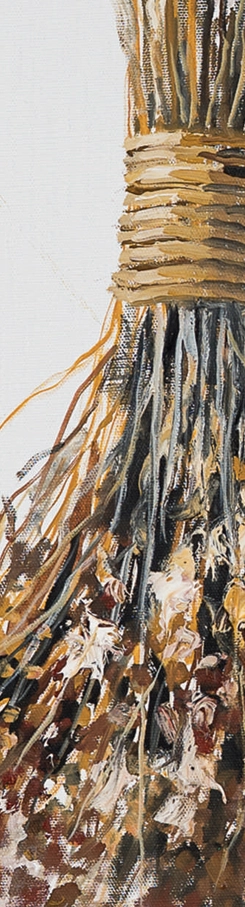 codex-de-leacuri-marcel-lupse