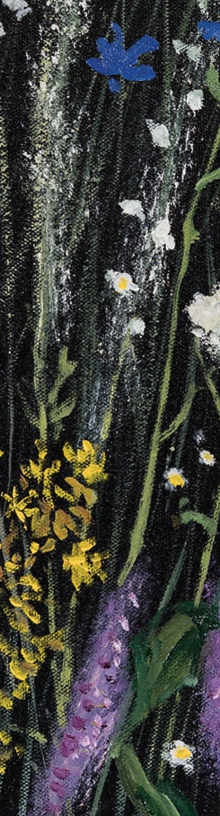 ierburi-si-flori-marcel-lupse