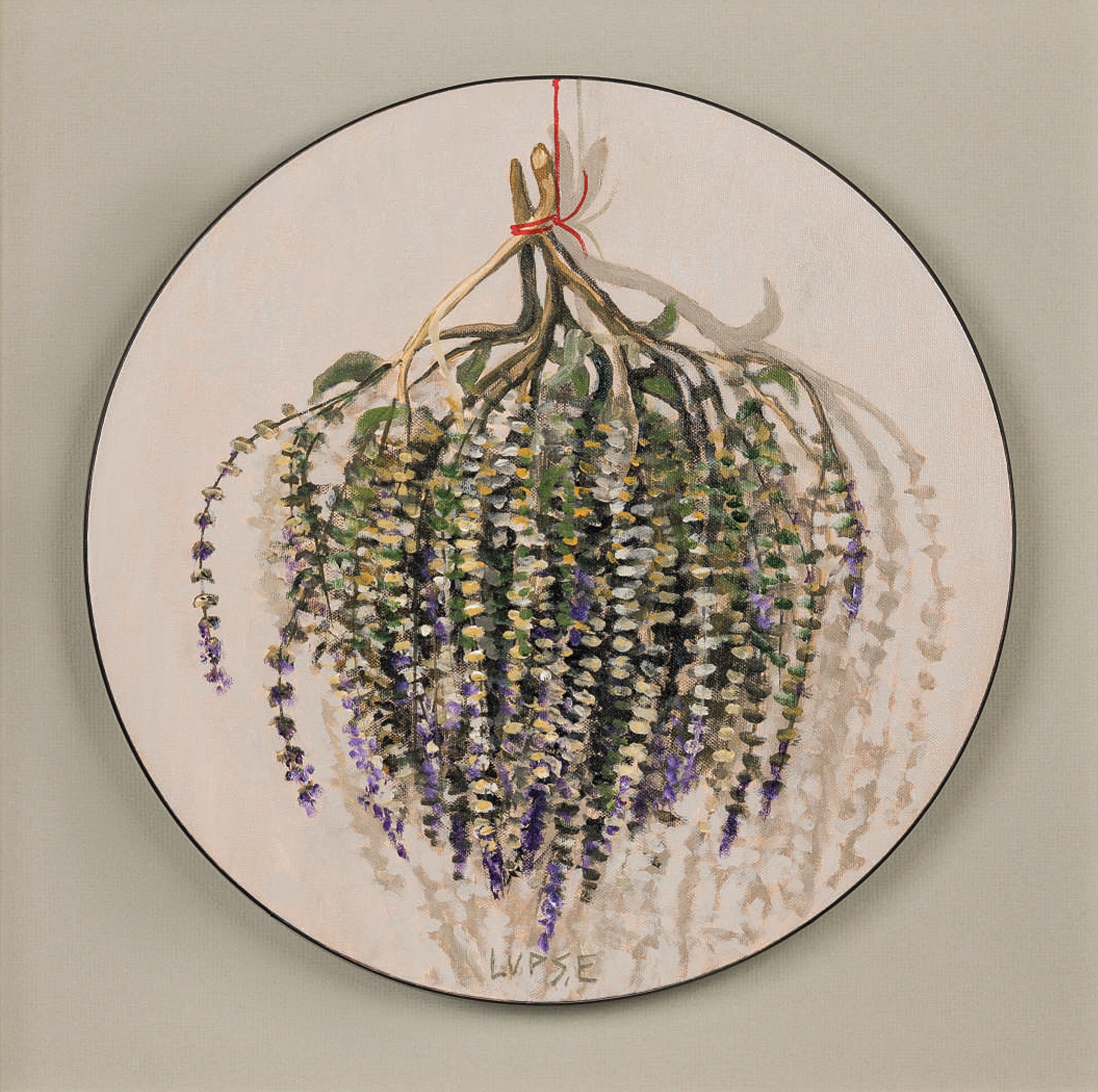 marcel-lupse-busuiocul