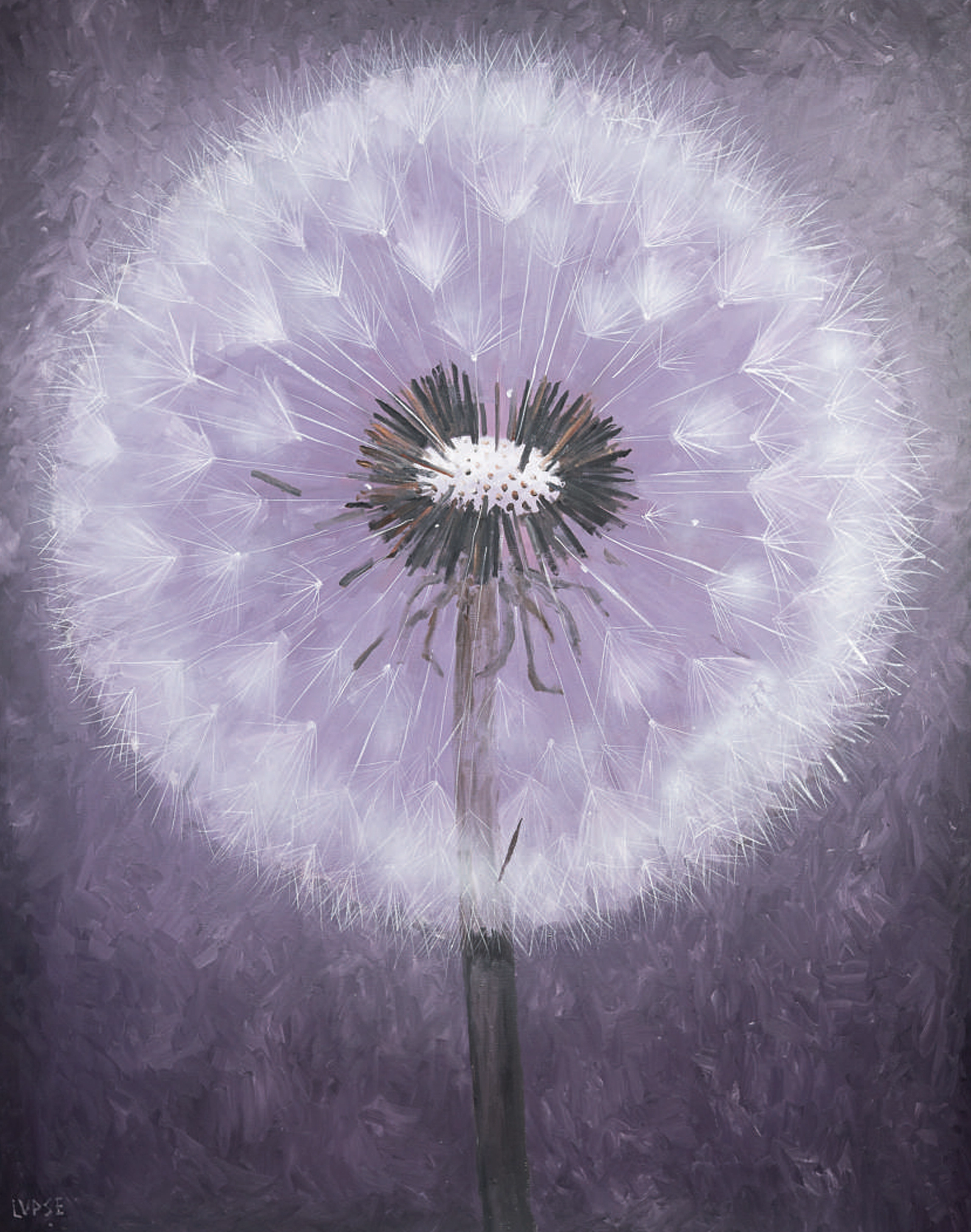 marcel-lupse-papadie-dansul-ingerilor