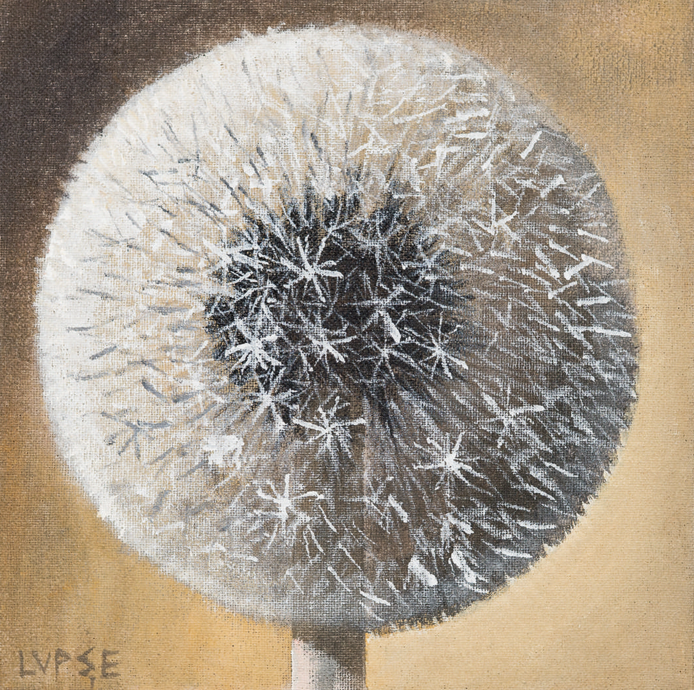 marcel-lupse-papadie