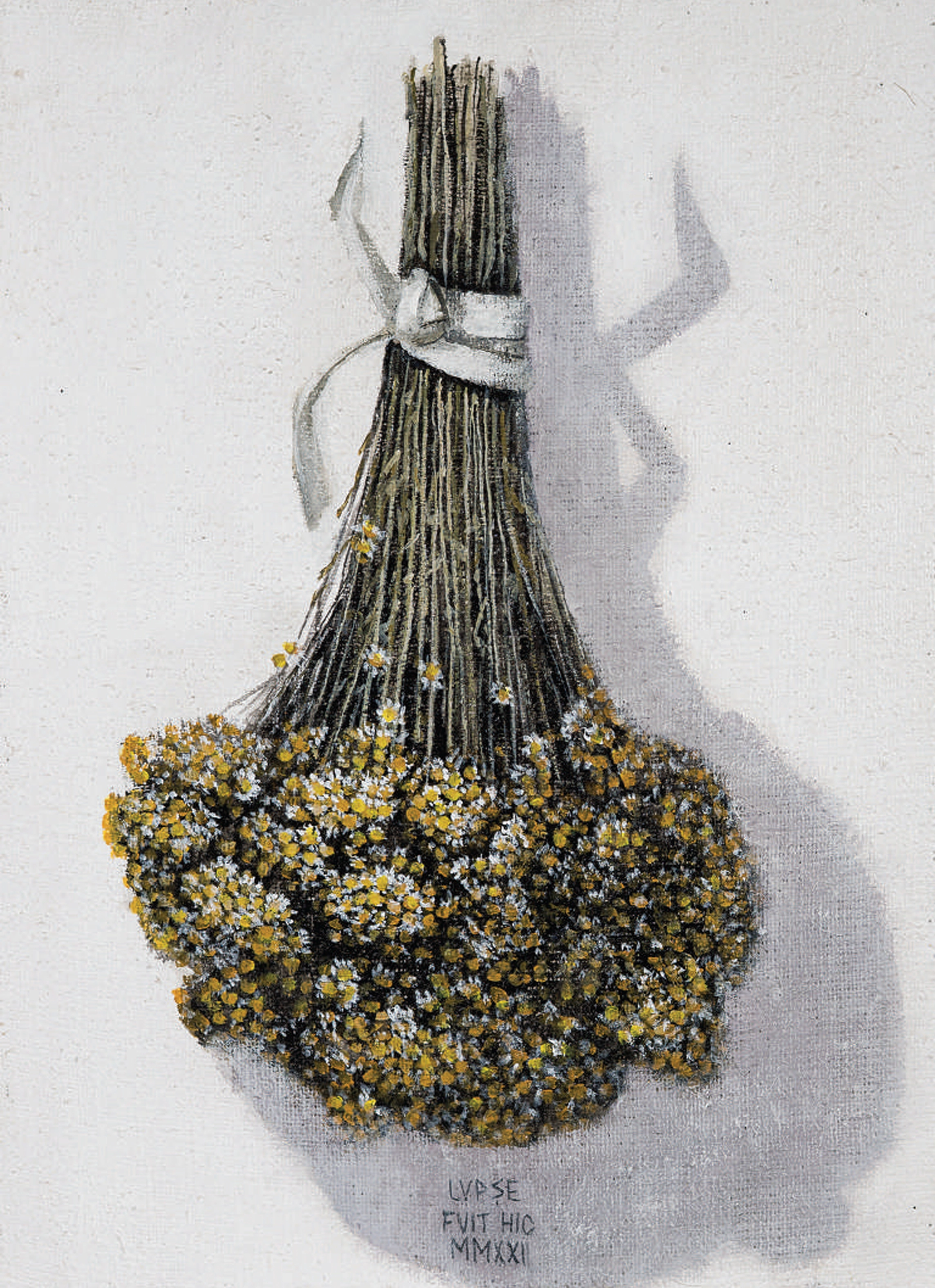 marcel-lupse-romanita