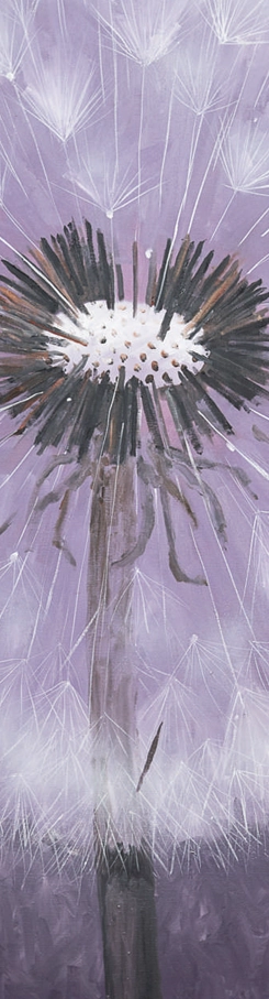 papadie-dansul-ingerilor-marcel-lupse