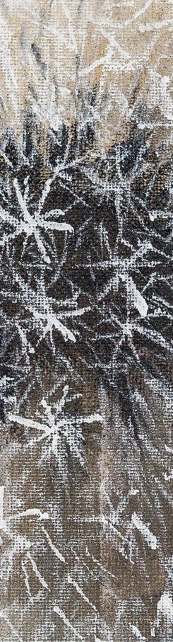 papadie-marcel-lupse