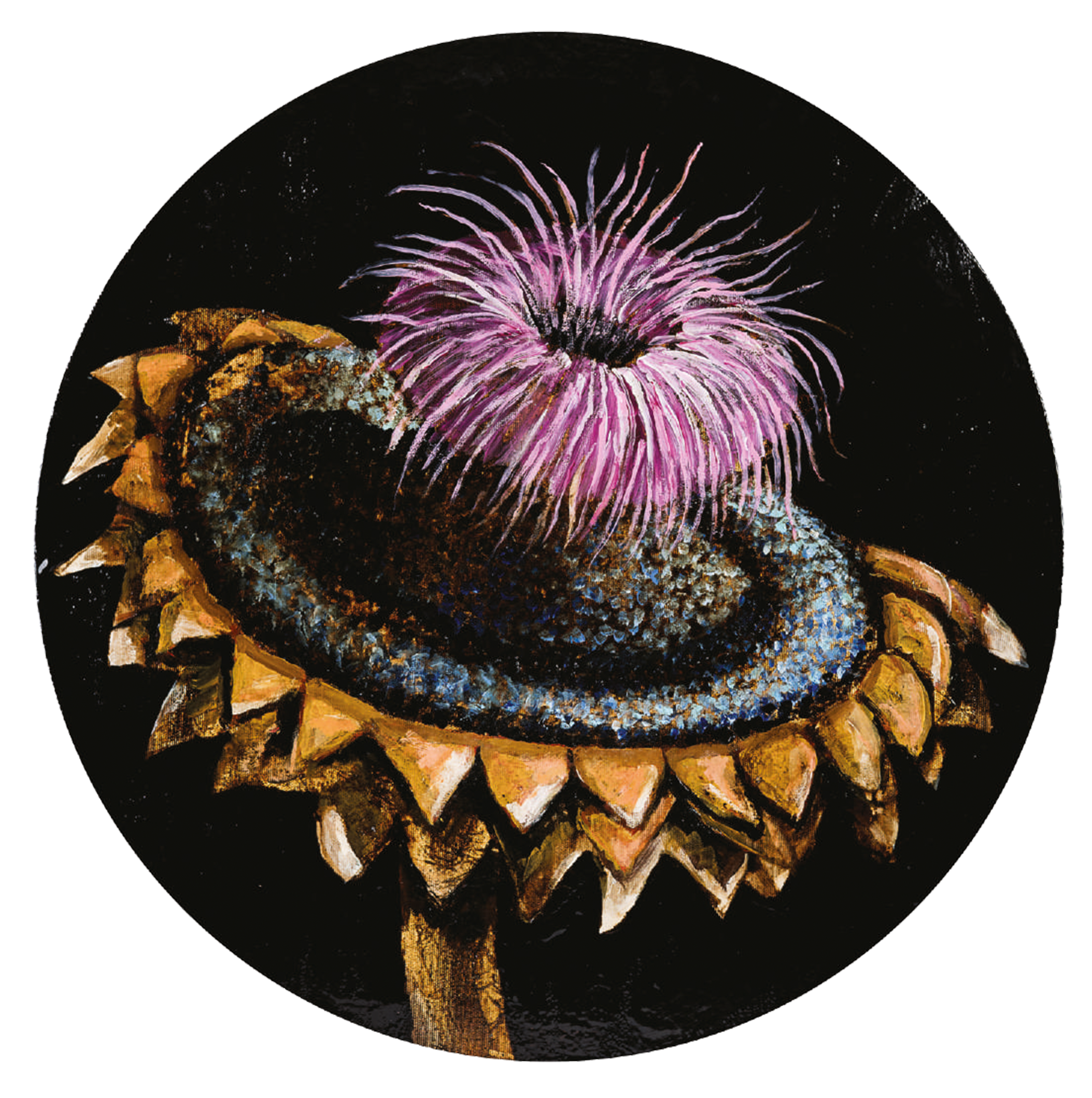 scai-marcel-lupse-win-gallery