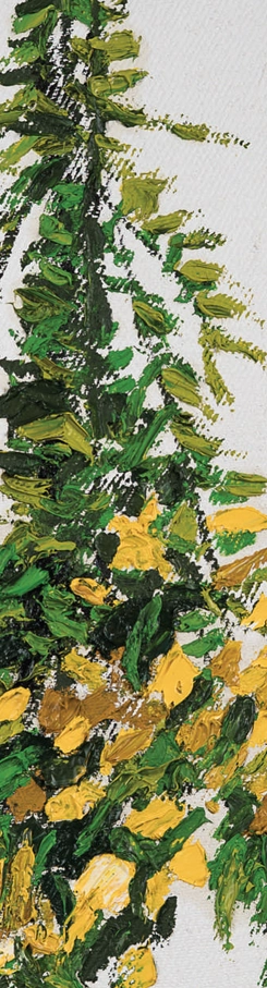 sunatoare-marcel-lupse